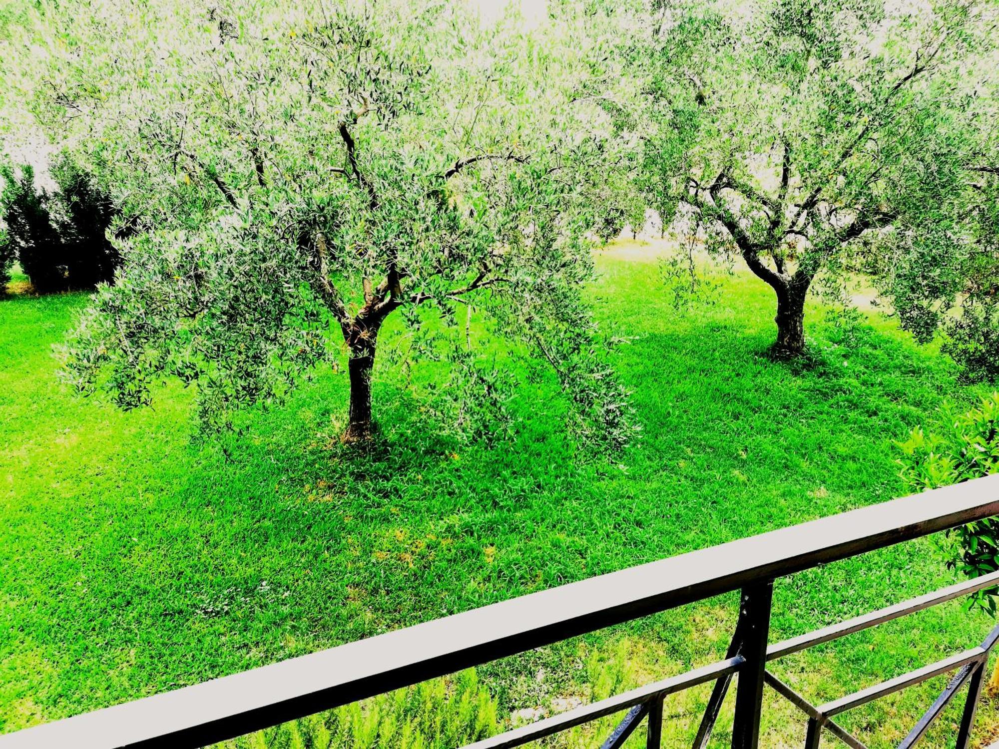 Giorgos Apartments Скала-Фуркас Экстерьер фото